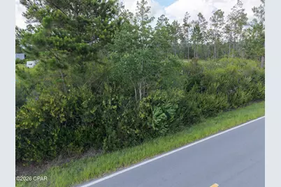 Lot 5 Borders Road, Wewahitchka, FL 32465 - Photo 3