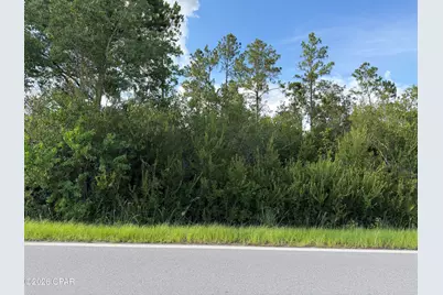 Lot 5 Borders Road, Wewahitchka, FL 32465 - Photo 5