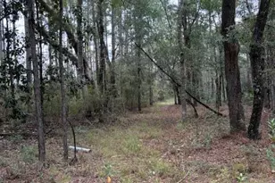 0000 Everest Dr, Chipley, FL 32428 - Photo 3