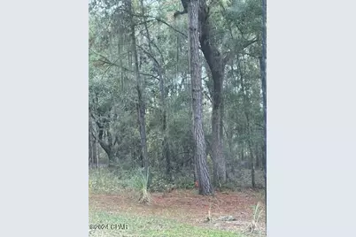 0000 Everest Drive, Chipley, FL 32428 - Photo 5