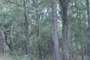 0000 Everest Dr, Chipley, FL 32428 - Photo 5