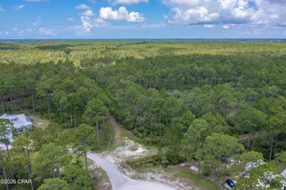 6624 Button Buck Trail, Panama City Beach, FL 32413 - Photo 3