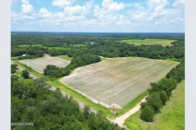 2409 Bluff Road, Grand Ridge, FL 32442 - Photo 17