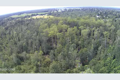 0 Rocky Creek Road, Marianna, FL 32448 - Photo 5