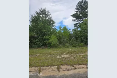 Tbd Banner Lane, Chipley, FL 32428 - Photo 3