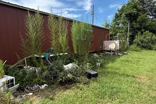 2243 Syfrett Rd, Cottondale, FL 32431 - Photo 11