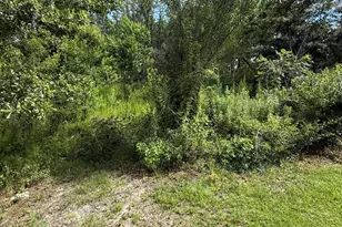 2243 Syfrett Rd, Cottondale, FL 32431 - Photo 13