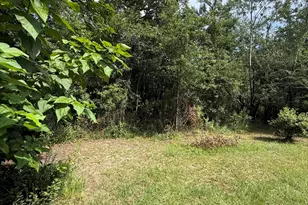 2243 Syfrett Rd, Cottondale, FL 32431 - Photo 17