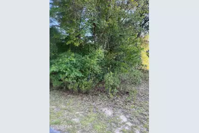 0 Quail Ridge Drive, Chipley, FL 32428 - Photo 9