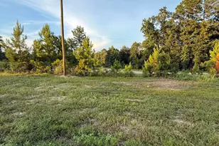 2007 Strickland Ln, Westville, FL 32464 - Photo 35