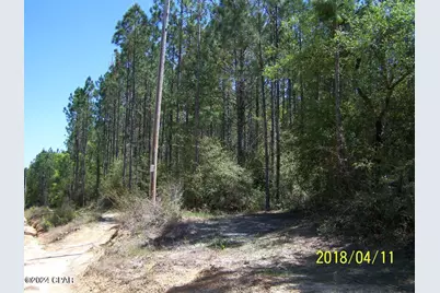 00 Noland Pond Road, Alford, FL 32420 - Photo 3