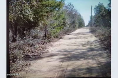 00 Noland Pond Road, Alford, FL 32420 - Photo 5