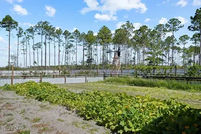 619 Jones Homestead Road, Port Saint Joe, FL 32456 - Photo 55