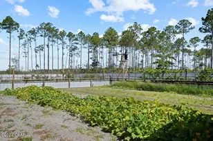 619 Jones Homestead Rd, Port Saint Joe, FL 32456 - Photo 55