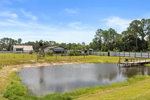 619 Jones Homestead Rd, Port Saint Joe, FL 32456 - Photo 63