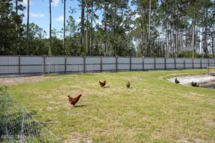 619 Jones Homestead Rd, Port Saint Joe, FL 32456 - Photo 69