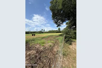 2340 Hwy 179A, Westville, FL 32464 - Photo 3