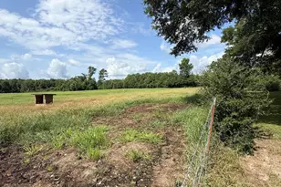 2340 Hwy 179a, Westville, FL 32464 - Photo 3