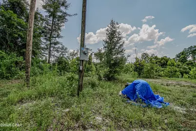 12730 SW County Road 275, Blountstown, FL 32424 - Photo 59