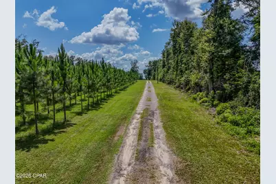 12730 SW County Road 275, Blountstown, FL 32424 - Photo 7