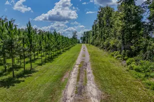 12730 SW County Road 275, Blountstown, FL 32424 - Photo 7