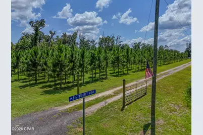 12730 SW County Road 275, Blountstown, FL 32424 - Photo 5