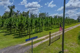 12730 SW County Road 275, Blountstown, FL 32424 - Photo 5