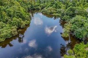 12730 SW County Road 275, Blountstown, FL 32424 - Photo 47