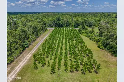 12730 SW County Road 275, Blountstown, FL 32424 - Photo 45