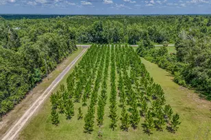 12730 SW County Road 275, Blountstown, FL 32424 - Photo 45