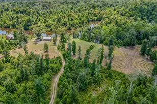 12730 SW County Road 275, Blountstown, FL 32424 - Photo 43