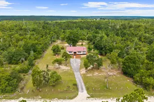 1025 Edison Ave, Alford, FL 32420 - Photo 3
