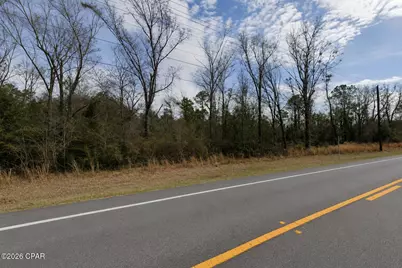 0 S Hwy 71, Wewahitchka, FL 32465 - Photo 3