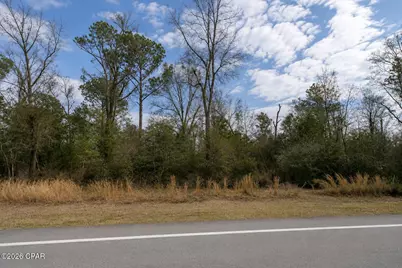 0 S Hwy 71, Wewahitchka, FL 32465 - Photo 5
