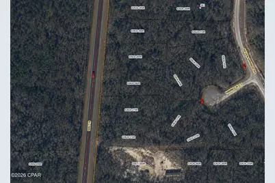 0 S Hwy 71, Wewahitchka, FL 32465 - Photo 7
