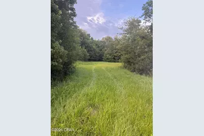 00 S Chance Road, Bonifay, FL 32425 - Photo 5