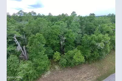 Lot 5 Malone Place, Chipley, FL 32428 - Photo 5
