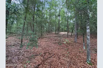 Lot 5 Malone Place, Chipley, FL 32428 - Photo 11