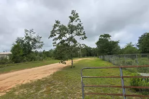 10325 Thomas Ln, Fountain, FL 32438 - Photo 5