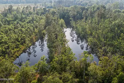 Xxx Kirkland Road, Chipley, FL 32428 - Photo 9