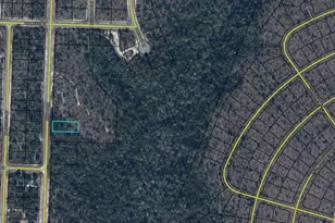 Lot 1 Blk 0813 Byrd Blvd, Chipley, FL 32428 - Photo 1