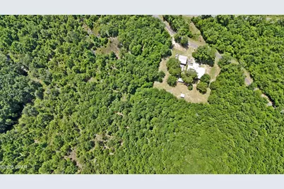 6160 Cedric Circle, Marianna, FL 32448 - Photo 17