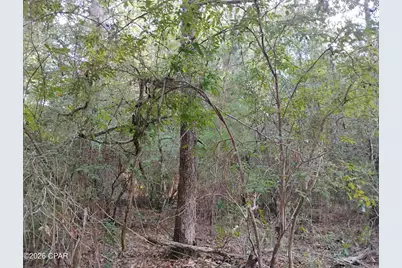 Lot 22 Linwood Drive, Chipley, FL 32428 - Photo 3