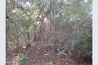 Lot 22 Linwood Drive, Chipley, FL 32428 - Photo 5