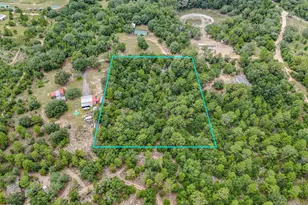 4597 Spotted Horse Ln, Chipley, FL 32428 - Photo 9