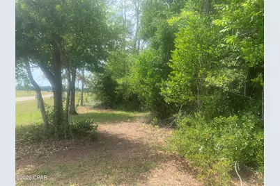 8390 Aci Drive, Sneads, FL 32460 - Photo 7