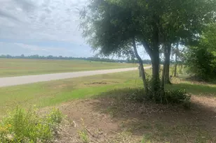 8390 Aci Dr, Sneads, FL 32460 - Photo 5