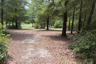 2598 Lawrence Rd, Marianna, FL 32446 - Photo 3
