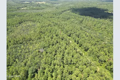 0013 Hawthorne Trl Canopy Oaks Trail, Bonifay, FL 32425 - Photo 3