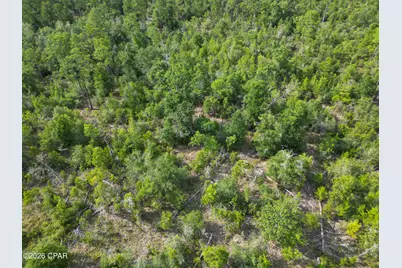 Xxxx Hero Road, Chipley, FL 32428 - Photo 11